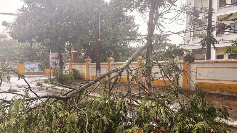 Thủ tướng Chính phủ chỉ đạo khẩn trương khắc phục hậu quả bão số 5 và ứng phó mưa lũ sau bão