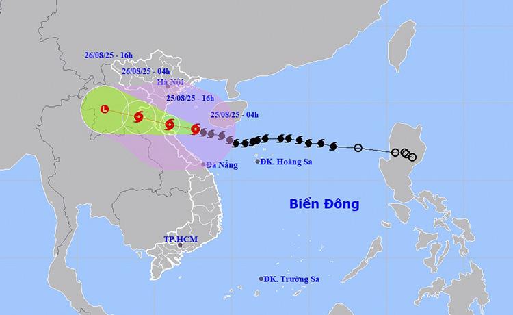 Đảng ủy xã Tân Thanh : chỉ đạo tập trung ứng phó với bão số 5